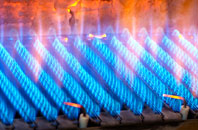 Powburn gas fired boilers